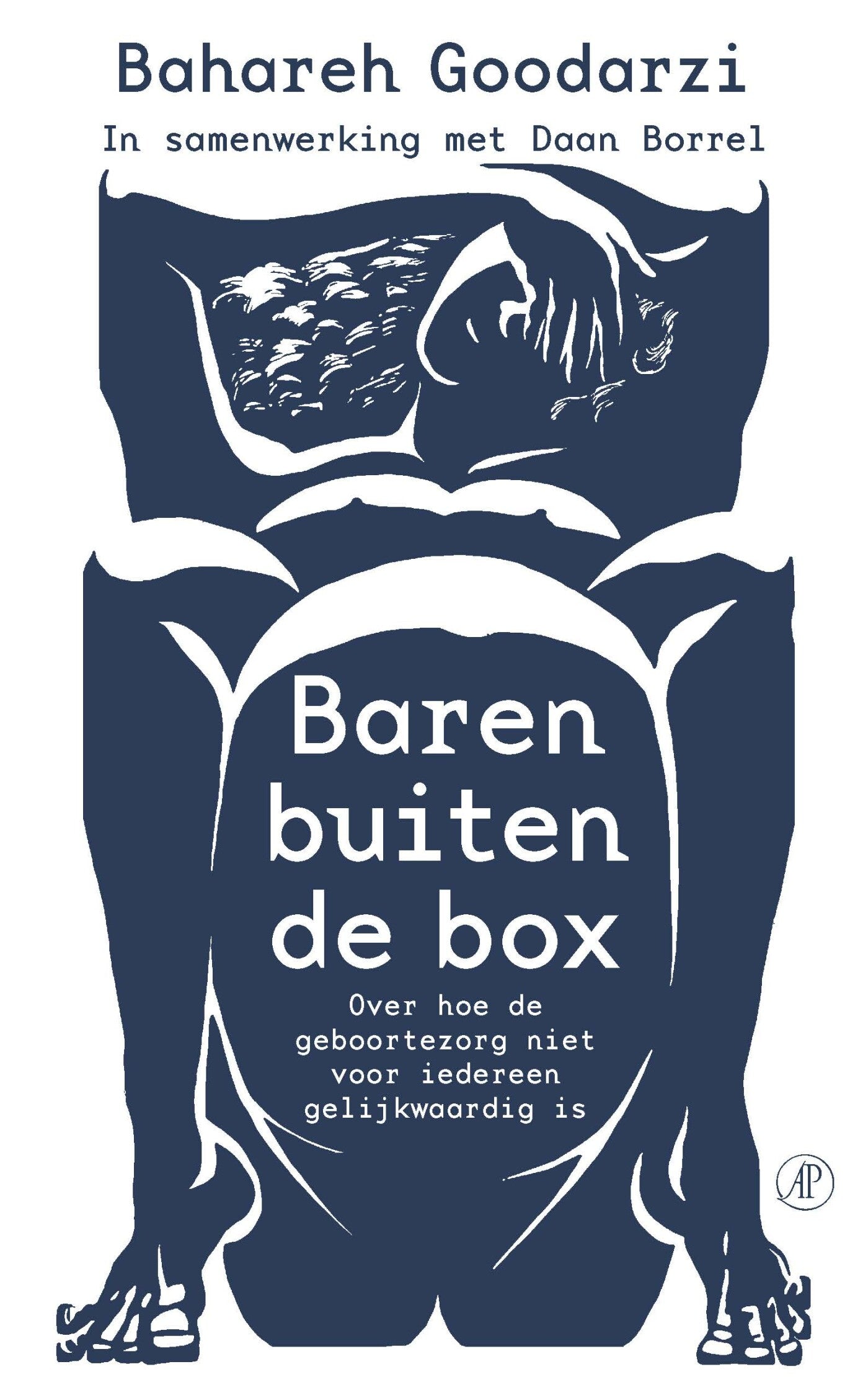 Boek Baren buiten de box - Bahareh Goodarzi