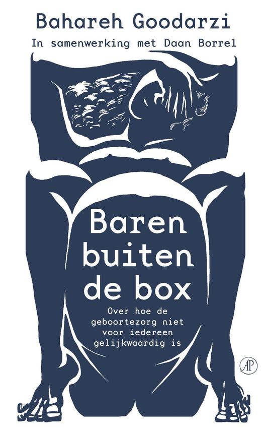 Boek Baren buiten de box - Bahareh Goodarzi