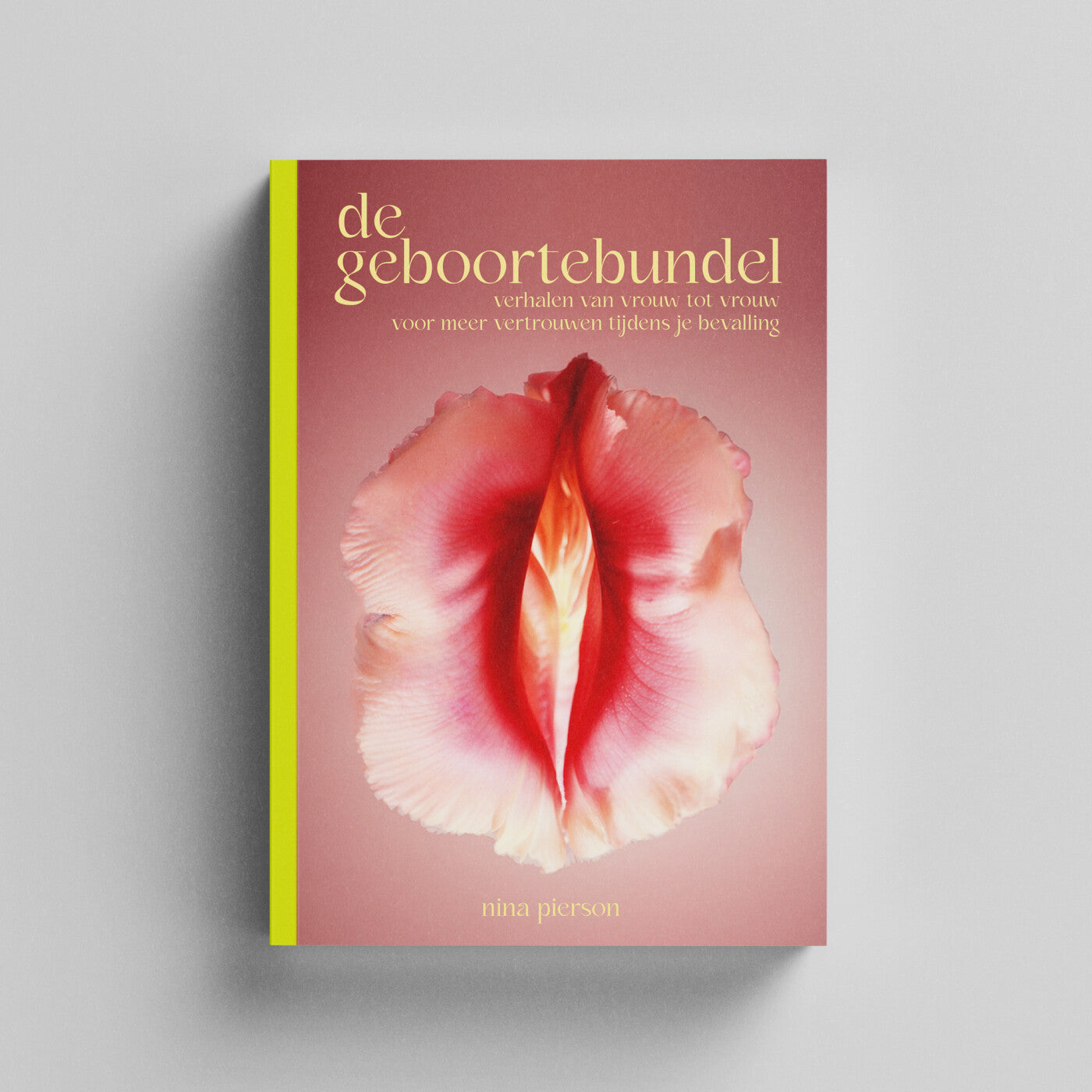 Boek De Geboortebundel - Nina Pierson