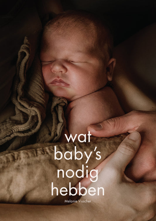 Boek Wat baby's nodig hebben - Melanie Visscher